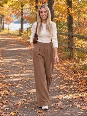 Aritzia Wide-Leg Effortless Trousers in Taupe